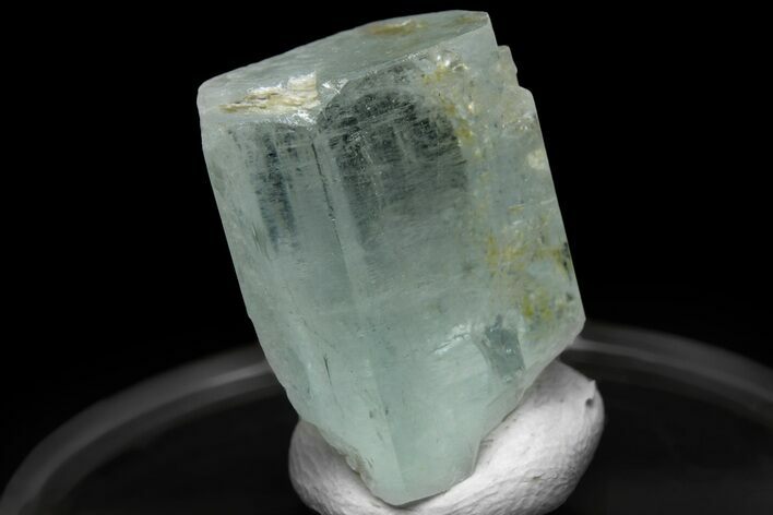 Gemmy Aquamarine Crystal with Muscovite - Pakistan #229391
